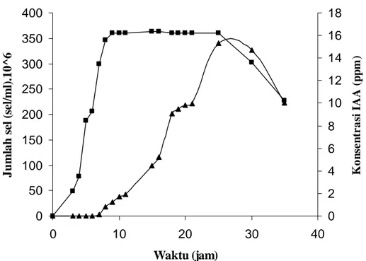 Gambar 4  Kurva pertumbuhan dan produksi Indole acetic acid isolat Bacillus sp.  Cr-4