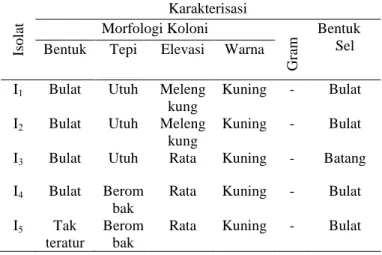 Tabel 4. Karakterisasi Bakteri Penghasil IAA 