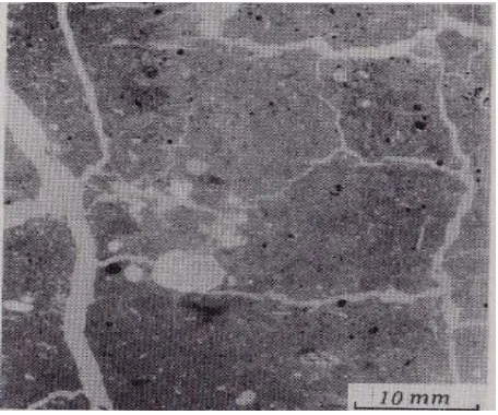 Gambar 1. Struktur Prismatik Pada Mikromorfologi 