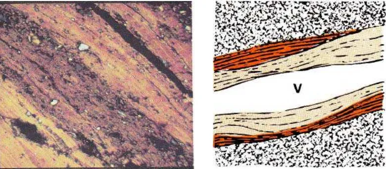 Gambar 2. Irisan tipis suatu contoh tanah diatas mikroskop 