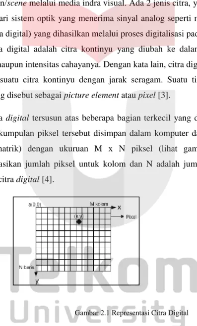 Gambar 2.1 Representasi Citra Digital 