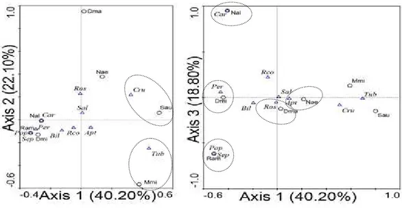 Gambar  axis  1  dan  3  menjelaskan  beberapa  variabel yang tidak dapat dijelaskan oleh gambar axis  1 dan 2 (Gambar 7)