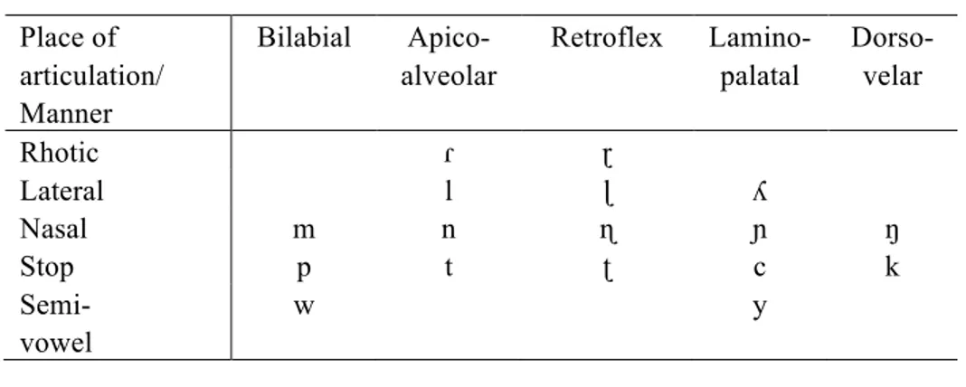 Table 2 Ngarla consonant phonemes (OVV 1966). 