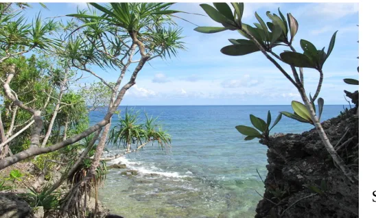 Gambar 4. Pantai Totambatu