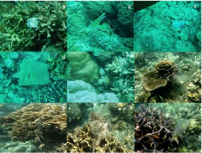 Gambar 7.   Jenis-jenis sampah di kedalaman 3m pulau Panggang di bulan Maret 2015 (a s/d e) dan pulau Air di  bulan Nopember 2014 (f s/d h)