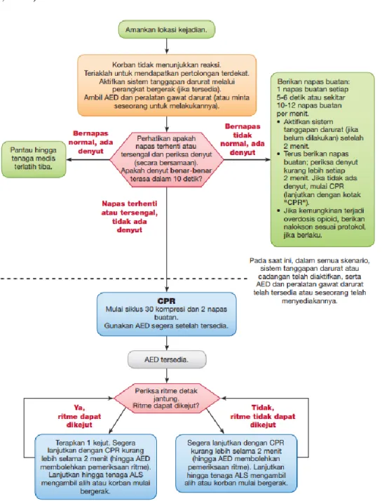 Gambar 2.5. Algoritma Bantuan Hidup Dasar (American Heart Association, 2015) 