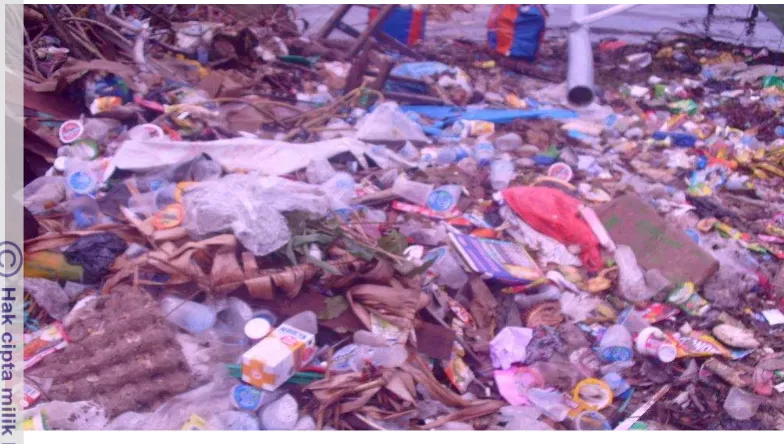 Gambar 13 Tumpukan sampah di pinggir pantai barat Pulau Barranglompo 
