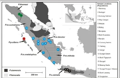 Gambar  2.2 Peta sebaran genus Presbytis (Presbytis comata: 1, 2,