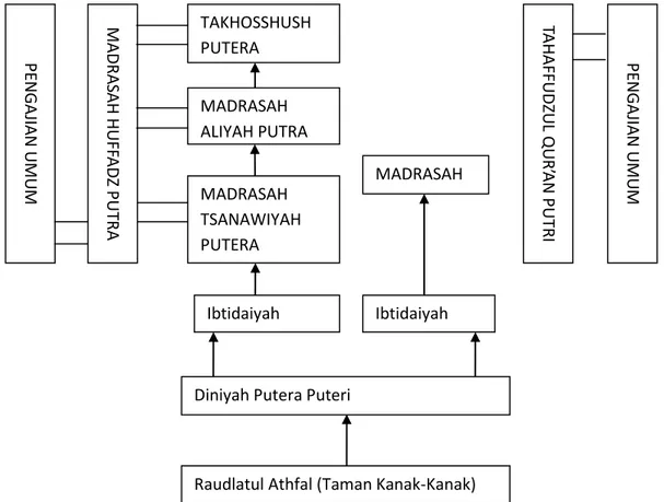 Gambar 1.  Skema dan Jenjang Pendidikan 50  Pondok Pesantren Krapyak Bantul Yogyakarta Masa 