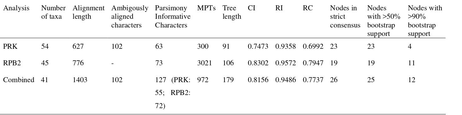 Table 1. Statistics calculated from pasimony analyses of PRK, RPB2 and combined datasets