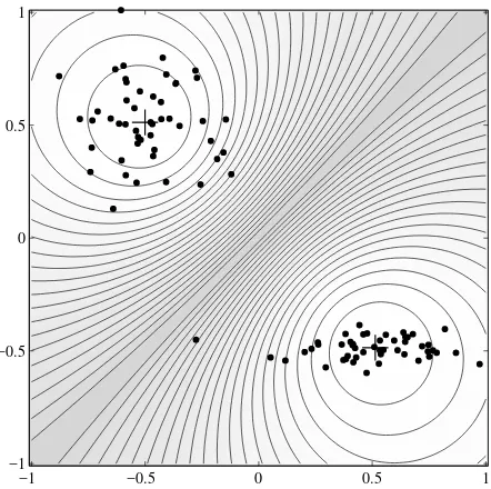 Figure 4.3.Diﬀerent distance norms used in fuzzy clustering.