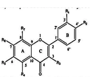 Gambar 2.2 Struktur senyawa dasar flavonoid. 