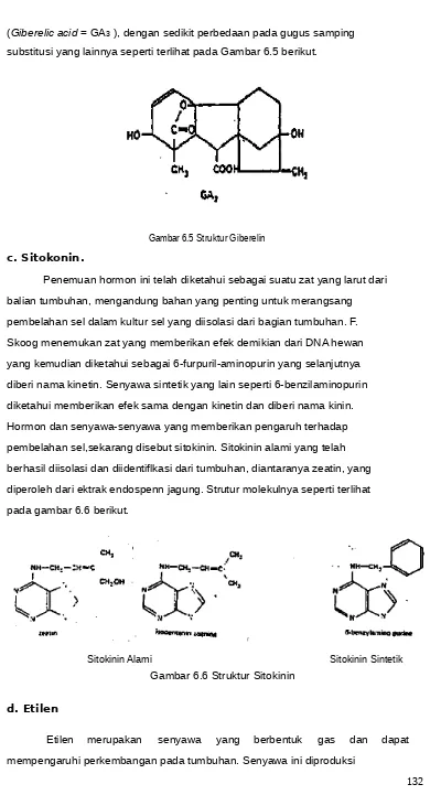 Gambar 6.5 Struktur Giberelin
