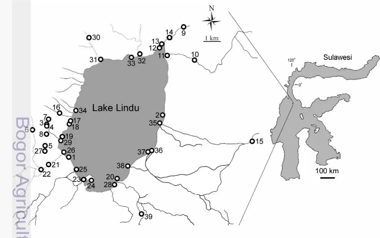 Figure 2 Location of the Lake Lindu system in Sulawesi Island (right) and overview of the sampling sites in the lake (left)