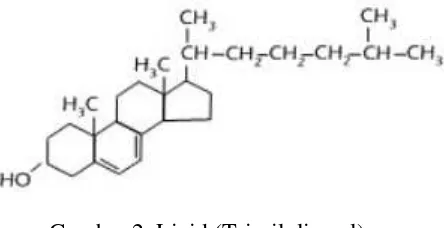Gambar 2. Lipid (Triasilgliserol) 
