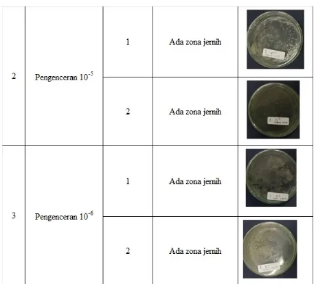 Tabel 2. Karakterisasi bakteri pada sampel sayur asin dan yogurt