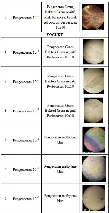 Tabel 4. Uji katalase bakteri pada sampel sayur asin dan yogurt