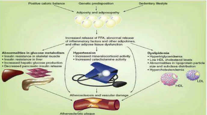Gambar 2.10   Adiposopathy dalam keadaan puasa dan kontribusinya terhadap pola lipid biasanya ditemukan pada sindrom metabolic (Bay et al, 2013) 