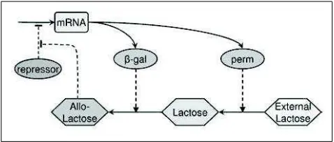 Figure 2: Structure of a ANFIS network: a) Takagi-Sugeno type Fuzzy Inference System, b) ANFISrepresentation of the system.