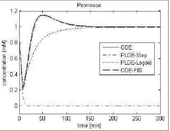Figure 4: Comparison of the dynamics of β-galactosidase for different models depending on the condi-tions of the experiment 1.
