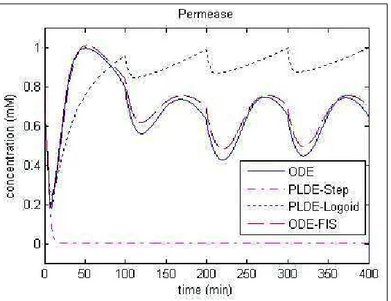 Figure 7: Comparison of the dynamics of permeases for different models depending on the conditions ofthe experiment 2.