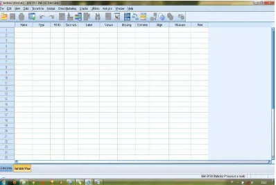 Gambar 5.2 Memasukkan Data ke dalam SPSS 