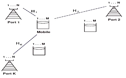 Gambar 2. Sistem C-MIMO (M,N) 