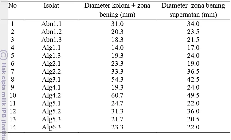 Tabel 5. Aktivitas agarolitik berdasarkan ukuran diameter zona bening (mm)yang terbentuk pada media agar-agar setelah dituangkan Lugol’s iodine