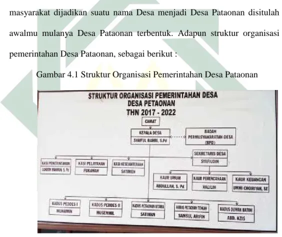 Gambar 4.1 Struktur Organisasi Pemerintahan Desa Pataonan