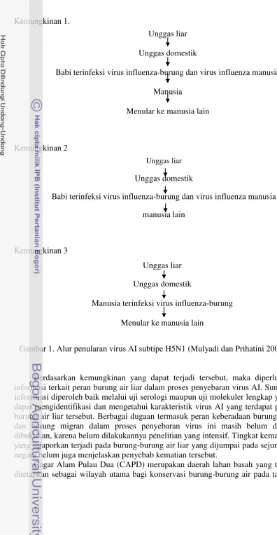 Gambar 1. Alur penularan virus AI subtipe H5N1 (Mulyadi dan Prihatini 2005) 