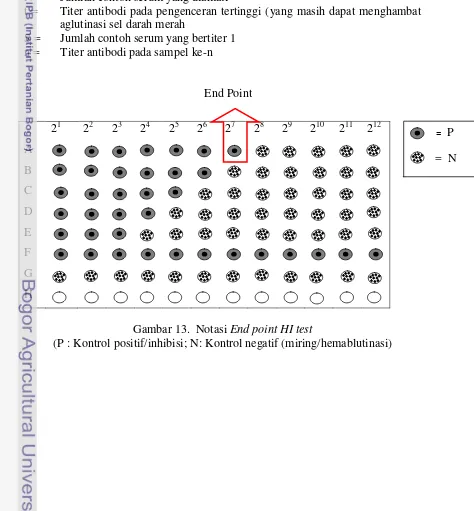 Gambar 13.  Notasi End point HI test 