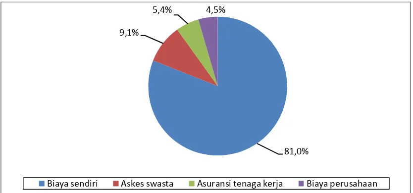 Gambar 6.6. Diagram Pie Distribusi Proporsi Ibu Bersalin Dengan Partus Tak Maju Rawat Inap Berdasarkan Sumber Biaya di RS Santa Elisabeth Medan Tahun 2005-2009 