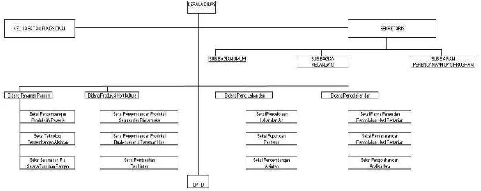 Gambar 1. Struktur Organisasi Dinas Tanaman Pangan dan Hortikultura Kota Pagar Alam