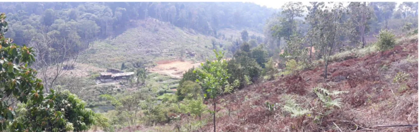 Gambar 2. Sisi lain Hutan Lindung Bukit Tiban yang terdapat lahan kritis horizontal dan zona miring 