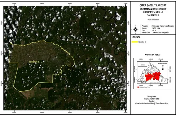 Gambar 3. Citra Satelit Landsat Register 45 Kecamatan Mesuji Timur  Tahun 2016
