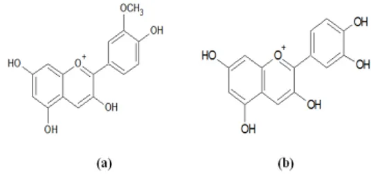 Gambar 1.  Struktur peonidin (a) dan sianidin  (b) (Suda, dkk., 2003)