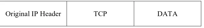 Gambar 2.9 Paket IP sebelum diimplementasikan AH 