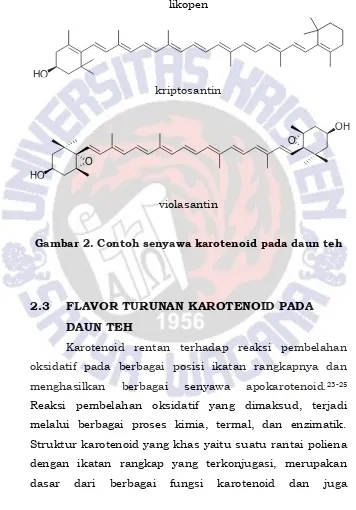 Gambar 2. Contoh senyawa karotenoid pada daun teh 