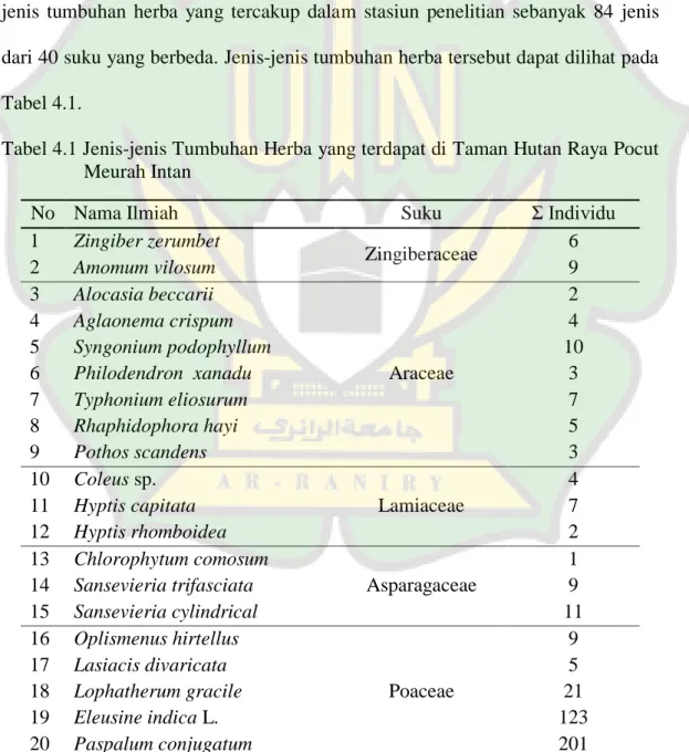 Tabel 4.1 Jenis-jenis Tumbuhan Herba yang terdapat di Taman Hutan Raya Pocut   Meurah Intan 