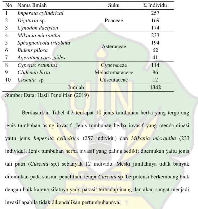 Tabel  4.2  Jenis-jenis  Tumbuhan  Herba  Invasif  yang  terdapat  di  Taman  Hutan  Raya Pocut  Meurah Intan 