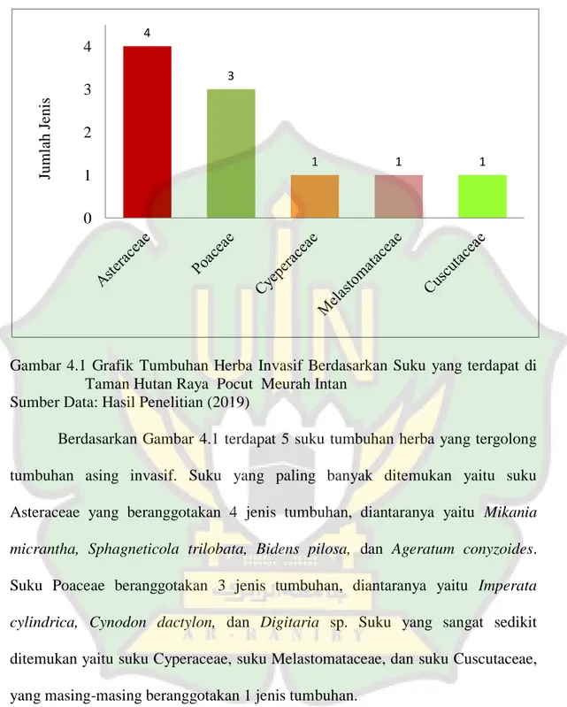 Gambar  4.1  Grafik  Tumbuhan  Herba  Invasif  Berdasarkan  Suku  yang  terdapat  di        Taman Hutan Raya  Pocut  Meurah Intan 