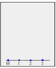 Gambar 2.1. contoh kromatografi kertas  