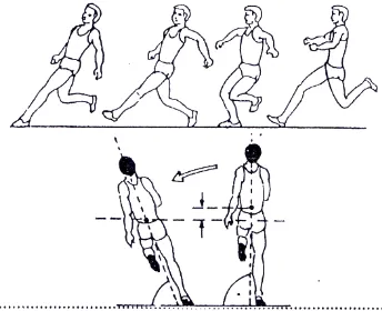 Gambar 2. Gerak teknik awalan (Sumber: IAAF Level I, 2000: 109) 