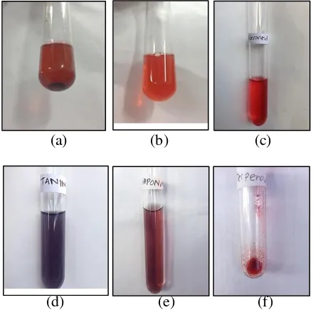 Gambar 1.  Hasil skrining fitokimia (a) uji flavonoid, (d) uji tanin, (e) uji saponin dan (f) uji alkaloid dengan pereaksi dragendorf, (b) uji alkaloid dengan pereaksi dragendorf, (c) uji triterpenoid/steroid 