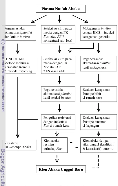 Gambar 1. Diagram alir strategi penelitian dan keterkaitan antar percobaan 