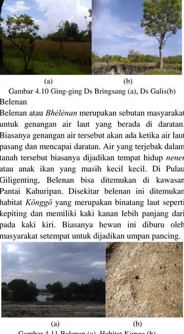 Gambar 4.10 Ging-ging Ds Bringsang (a), Ds Galis(b) 