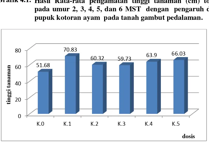 Grafik 4.1.  Hasil Rata-rata pengamatan tinggi tanaman (cm) tomat 