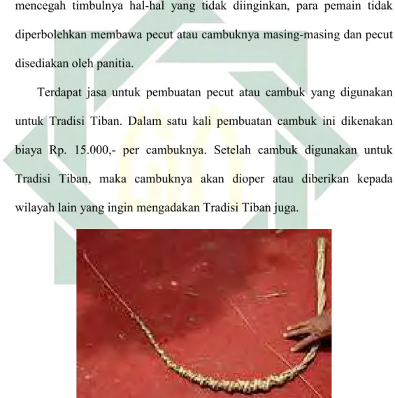Gambar 2b : Alat yang digunakan dalam Tradisi Tiban yang dinamakan pecut / cambuk. 4