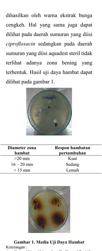 Tabel  1.  Klasifikasi  Respon  Zona  Hambat  Bakteri 