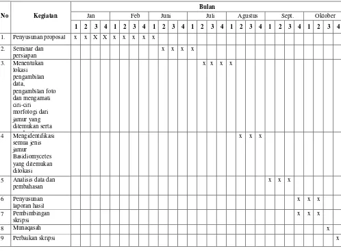 Tabel 3.2 Jadwal Penelitian 